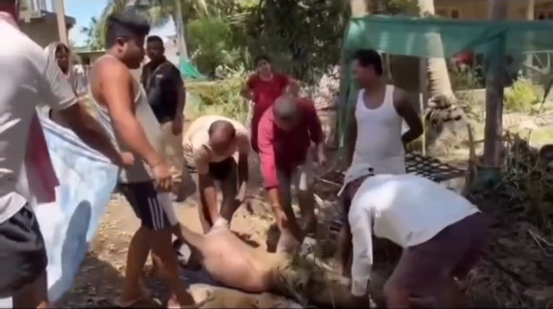 Assam Flood Relief