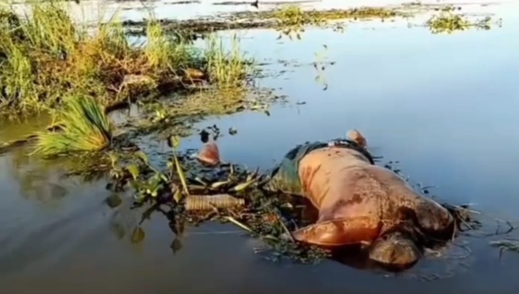 Assam Flood Relief